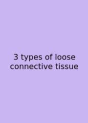 3 Types Of Loose Connective Tissue