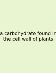 A Carbohydrate Found In The Cell Wall Of Plants