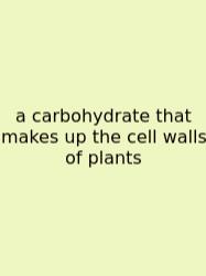 A Carbohydrate That Makes Up The Cell Walls Of Plants