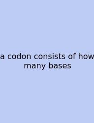 A Codon Consists Of How Many Bases