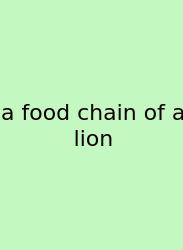 A Food Chain Of A Lion