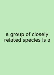 A Group Of Closely Related Species Is A