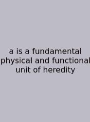 A Is A Fundamental Physical And Functional Unit Of Heredity