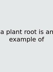 A Plant Root Is An Example Of