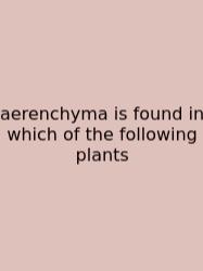 Aerenchyma Is Found In Which Of The Following Plants