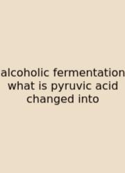 Alcoholic Fermentation What Is Pyruvic Acid Changed Into