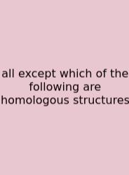 All Except Which Of The Following Are Homologous Structures