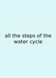All The Steps Of The Water Cycle