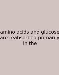 Amino Acids And Glucose Are Reabsorbed Primarily In The