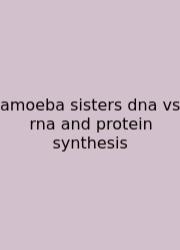 Amoeba Sisters Dna Vs Rna And Protein Synthesis