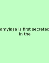 Amylase Is First Secreted In The
