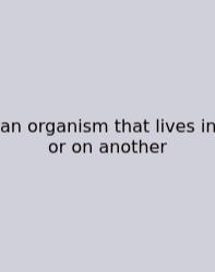 An Organism That Lives In Or On Another