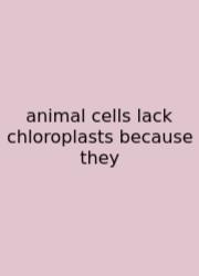 Animal Cells Lack Chloroplasts Because They