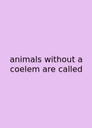 Animals Without A Coelem Are Called