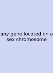 Any Gene Located On A Sex Chromosome