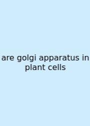 Are Golgi Apparatus In Plant Cells