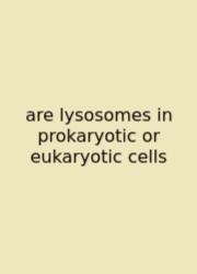 Are Lysosomes In Prokaryotic Or Eukaryotic Cells