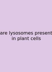 Are Lysosomes Present In Plant Cells