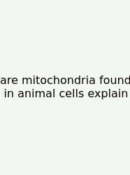 Are Mitochondria Found In Animal Cells Explain