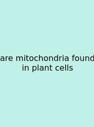 Are Mitochondria Found In Plant Cells