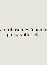Are Ribosomes Found In Prokaryotic Cells
