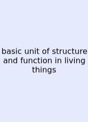 Basic Unit Of Structure And Function In Living Things