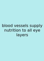 Blood Vessels Supply Nutrition To All Eye Layers