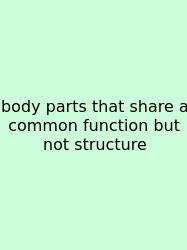 Body Parts That Share A Common Function But Not Structure