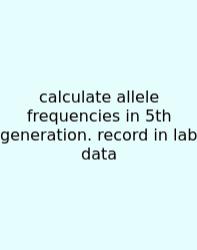 Calculate Allele Frequencies In 5th Generation. Record In Lab Data