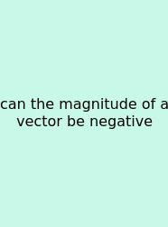 Can The Magnitude Of A Vector Be Negative
