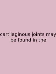 Cartilaginous Joints May Be Found In The