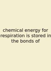 Chemical Energy For Respiration Is Stored In The Bonds Of