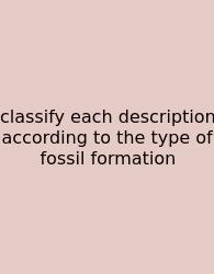 Classify Each Description According To The Type Of Fossil Formation