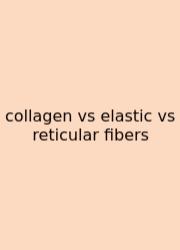 Collagen Vs Elastic Vs Reticular Fibers