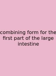 Combining Form For The First Part Of The Large Intestine