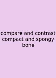Compare And Contrast Compact And Spongy Bone