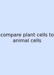 Compare Plant Cells To Animal Cells
