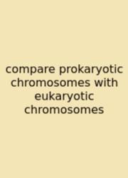Compare Prokaryotic Chromosomes With Eukaryotic Chromosomes