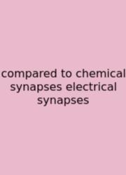 Compared To Chemical Synapses Electrical Synapses