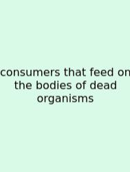 Consumers That Feed On The Bodies Of Dead Organisms