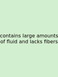 Contains Large Amounts Of Fluid And Lacks Fibers