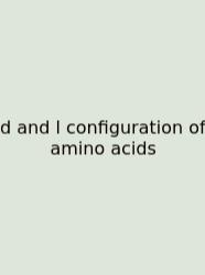 D And L Configuration Of Amino Acids