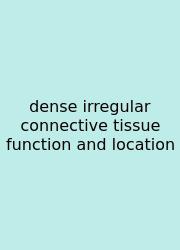 Dense Irregular Connective Tissue Function And Location