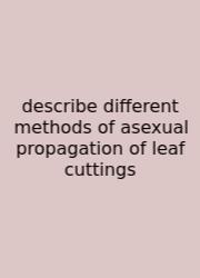 Describe Different Methods Of Asexual Propagation Of Leaf Cuttings