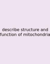 Describe Structure And Function Of Mitochondria