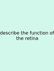 Describe The Function Of The Retina