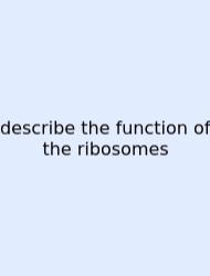 Describe The Function Of The Ribosomes
