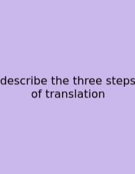 Describe The Three Steps Of Translation