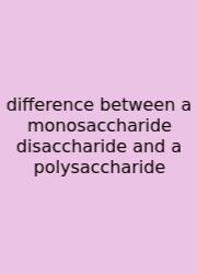 Difference Between A Monosaccharide Disaccharide And A Polysaccharide