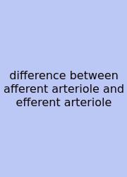 Difference Between Afferent Arteriole And Efferent Arteriole